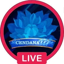 cendana777 Terbaru 2026: Download APK dan Review dan padi777: Rangkuman Brand yang Banyak Dicari