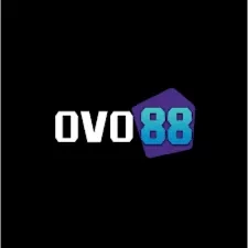 Review Aplikasi ovo88 dan padi777: Rangkuman Brand yang Banyak Dicari